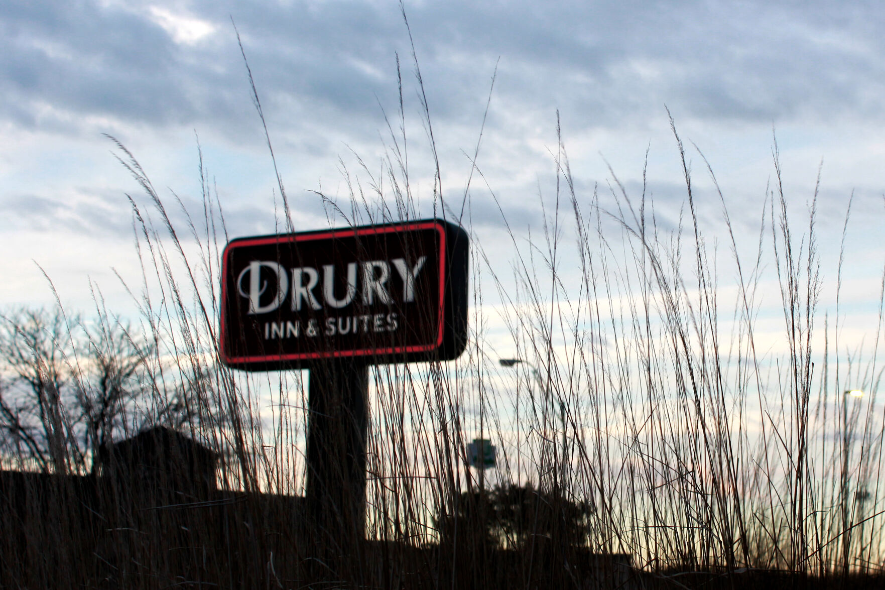 Assorted plants stand in front of the Drury Inn & Suites